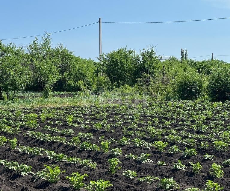 земля р-н Уфимский СТ Связист-3 фото 4