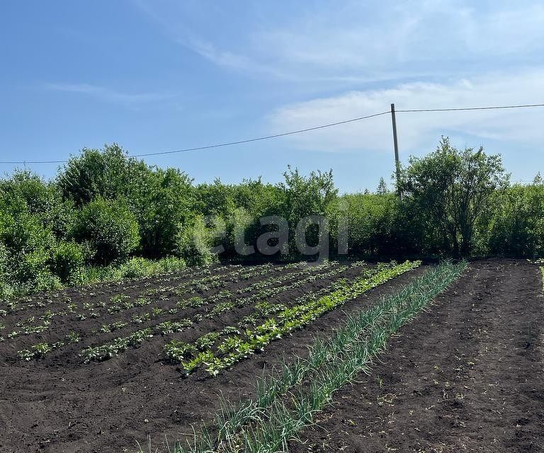 земля р-н Уфимский СТ Связист-3 фото 3