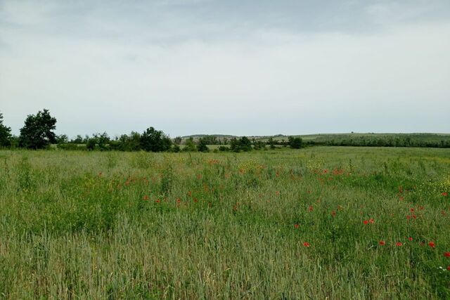 муниципальное образование Анапа, садово-огородническое товарищество Колос фото