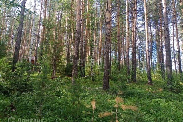 городской округ Дегтярск, Дегтярск фото