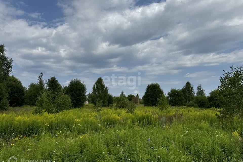 земля р-н Городецкий деревня Чуркино фото 1