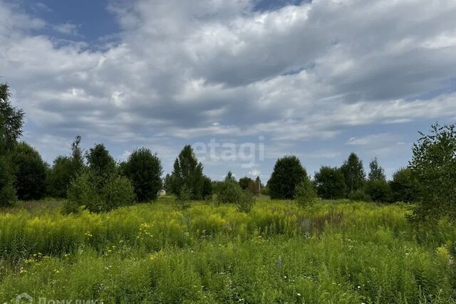 земля р-н Городецкий деревня Чуркино фото