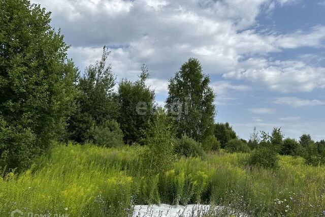 земля р-н Городецкий деревня Чуркино фото