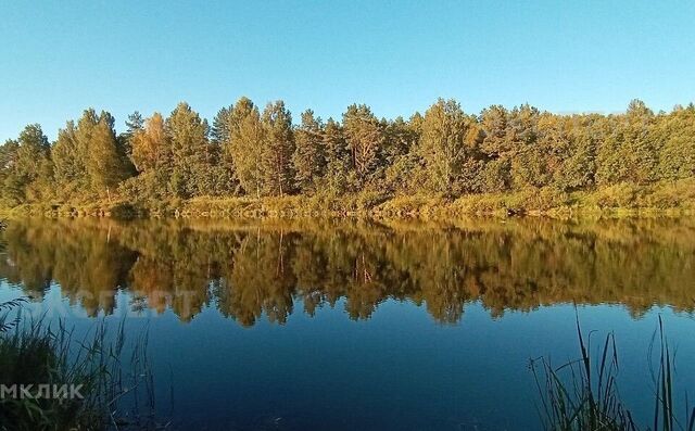 р-н Окуловский деревня Каташино фото