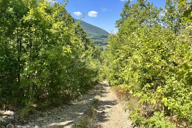 муниципальное образование Геленджик, ДНТ Океан фото