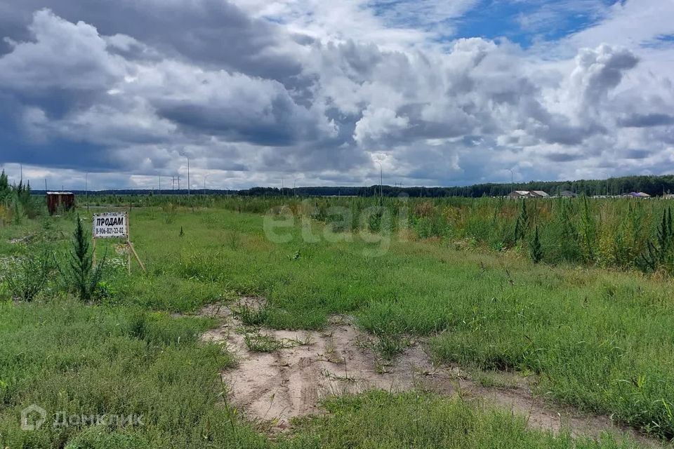 земля р-н Ленинский село Каменское фото 4