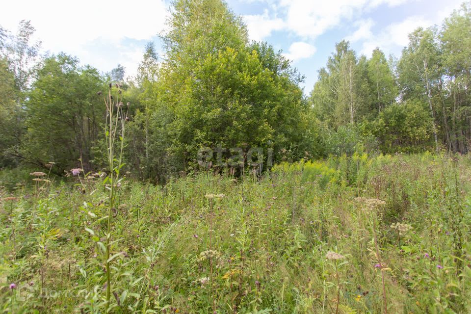 земля г Тобольск Центральная улица, городской округ Тобольск фото 7