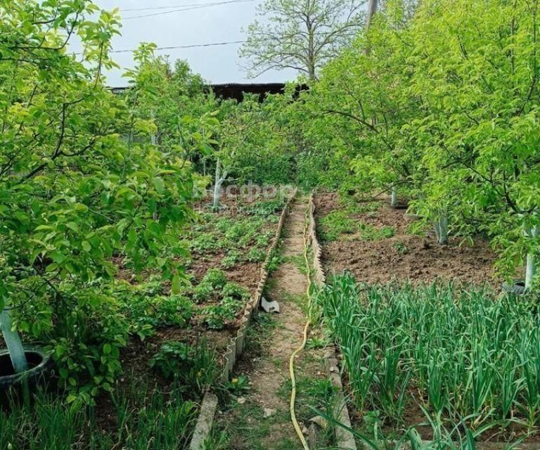 земля городской округ Феодосия, село Солнечное фото 6