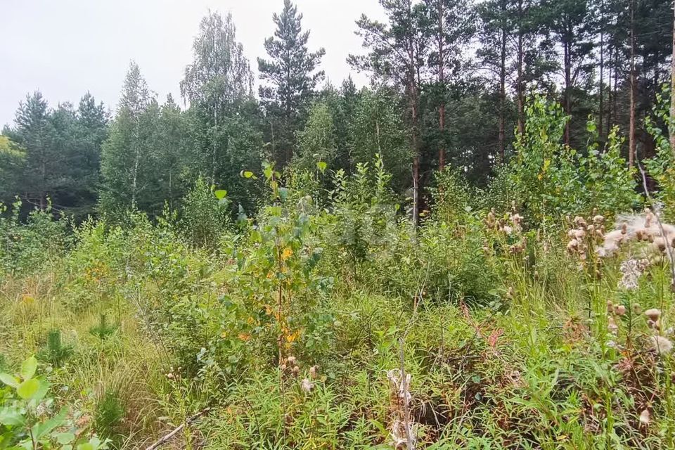 земля г Кыштым Кыштымский городской округ, СНТ Дальняя Дача фото 8