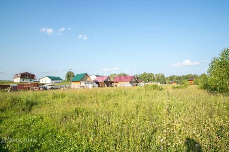 земля р-н Томский село Корнилово фото 7