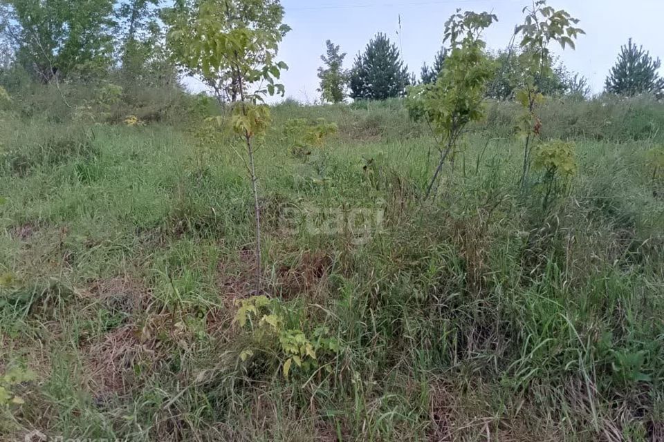 земля г Горно-Алтайск городской округ Горно-Алтайск, Медицинский городок Эмчилик Кала фото 6