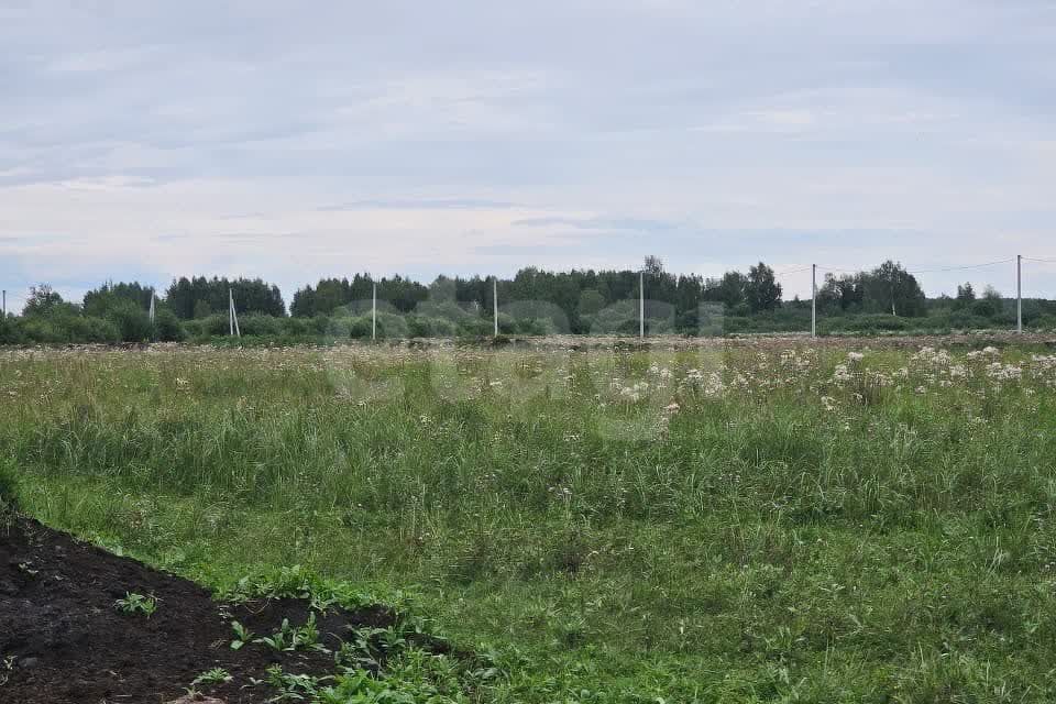 земля р-н Нижнетавдинский село Средние Тарманы фото 6