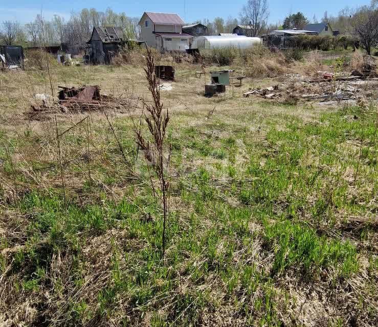 земля 31, городской округ Хабаровск, СТ Энергостроитель фото 6