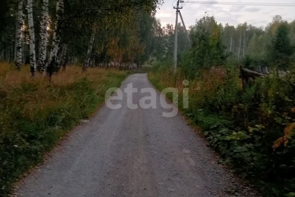 земля г Екатеринбург Екатеринбург городской округ, Чкаловский фото 10