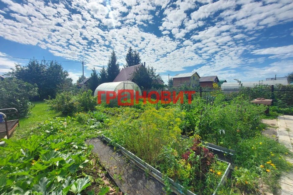 дом р-н Новосибирский СТ Ветеран-2 фото 6