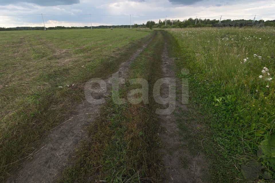 земля р-н Слободо-Туринский деревня Ермолина фото 7