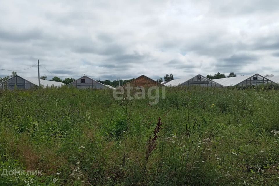 земля р-н Хабаровский с Некрасовка садоводческое товарищество Некрасовец фото 5