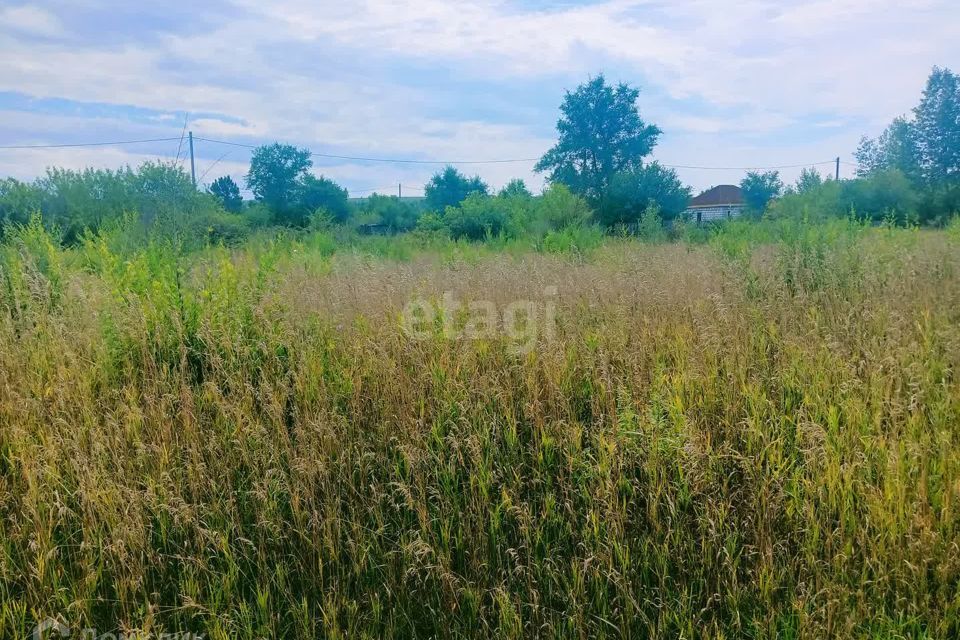 земля городской округ Абакан, СОСН Колягинские Холмы - Колягино-3, улица Белая Сирень фото 5