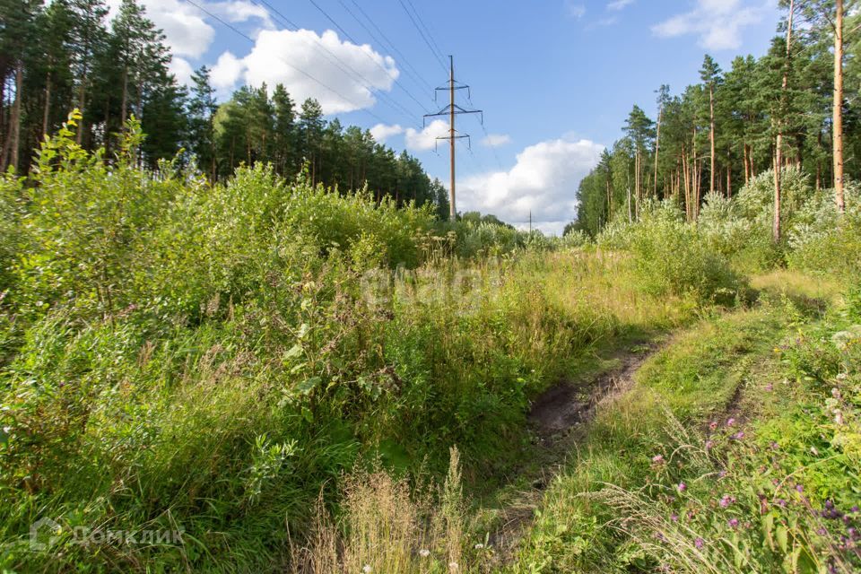 земля г Тобольск Центральная улица, городской округ Тобольск фото 6