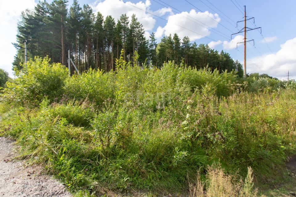 земля г Тобольск Центральная улица, городской округ Тобольск фото 7