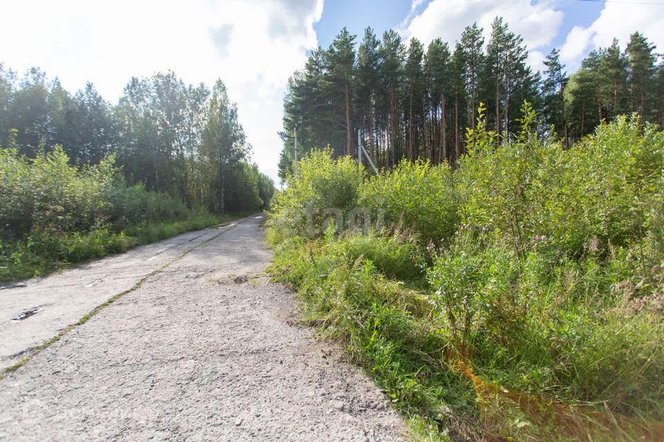 земля г Тобольск Центральная улица, городской округ Тобольск фото 8