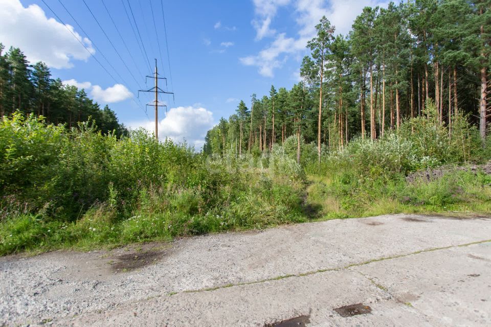 земля г Тобольск Центральная улица, городской округ Тобольск фото 10