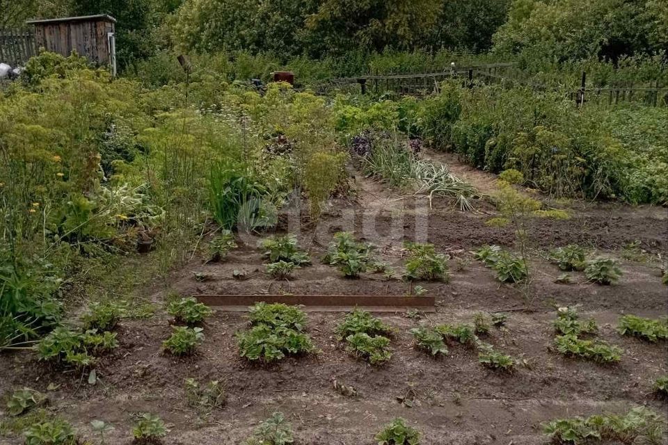 земля р-н Тобольский СО Виктория-2 фото 10