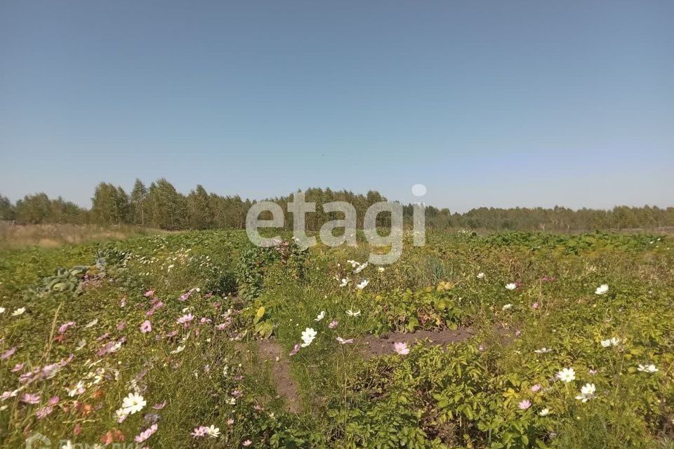 дом р-н Емельяновский п Емельяново ул Береговая городское поселение Емельяново фото 8