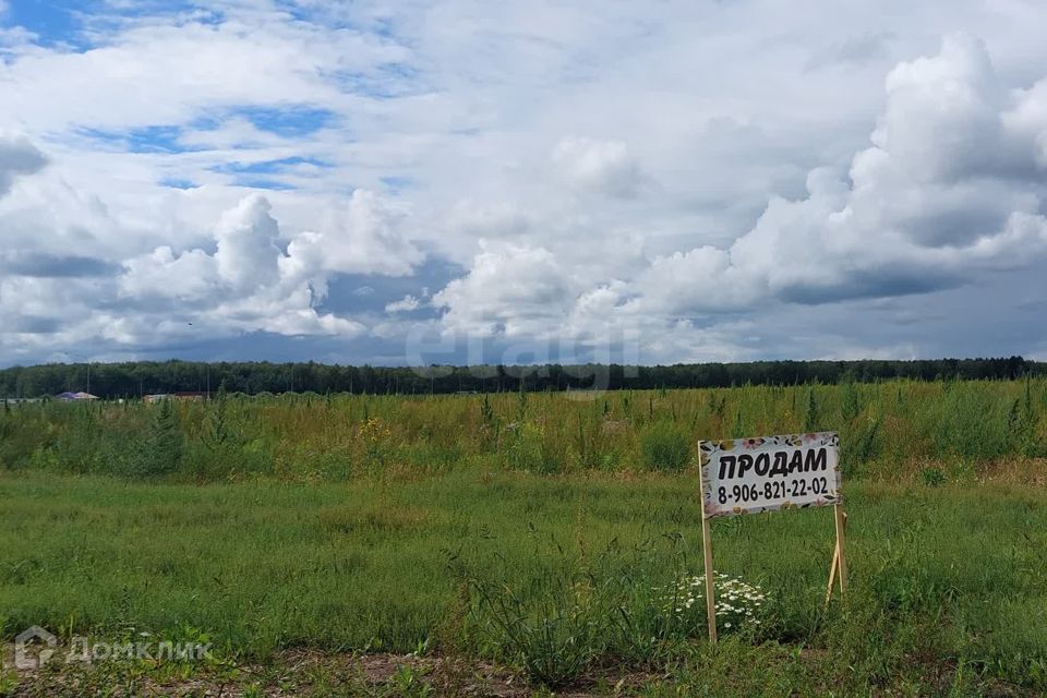 земля р-н Ленинский село Каменское фото 5