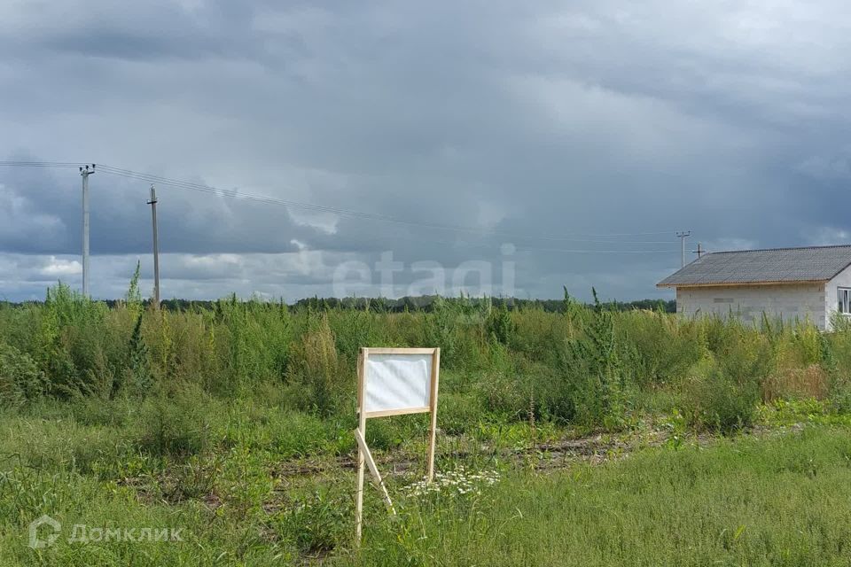 земля р-н Ленинский село Каменское фото 9