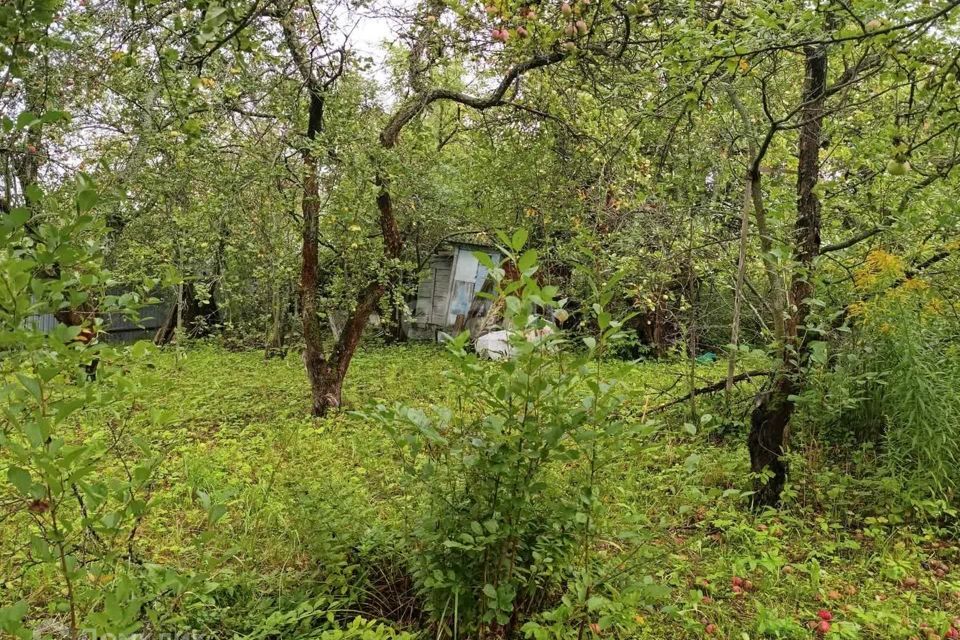 дом г Нижний Новгород р-н Советский снт тер.Колос городской округ Бор фото 10