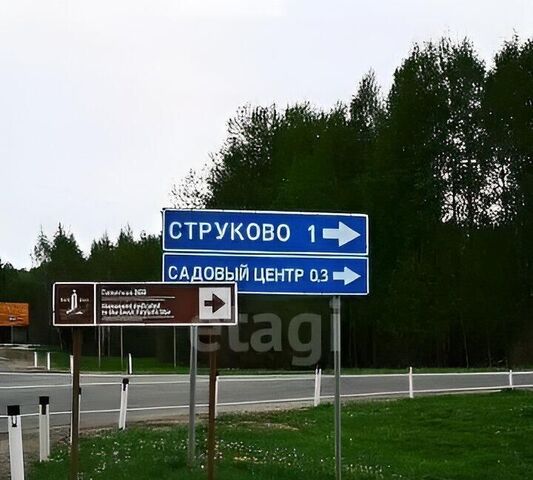 д Струково Тула фото