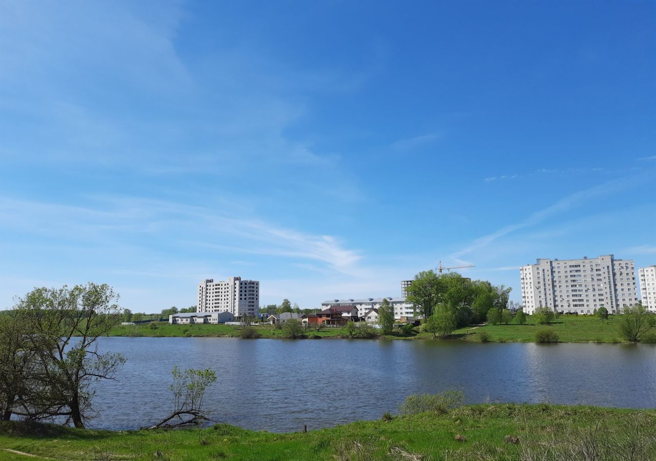 квартира г Тула р-н Привокзальный ЖК «Атмосфера» ул. Дорожная, д. 5, корп. 1, д. Харино фото 20