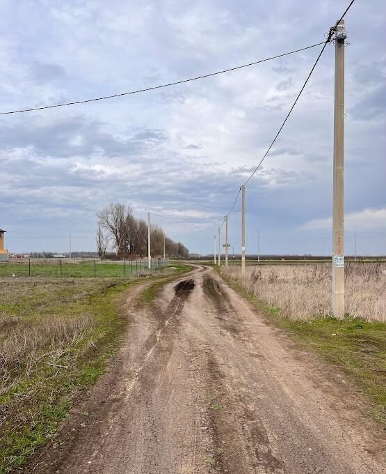 земля р-н Динской с Примаки Новотитаровское сельское поселение, 113/5, Краснодар фото 4