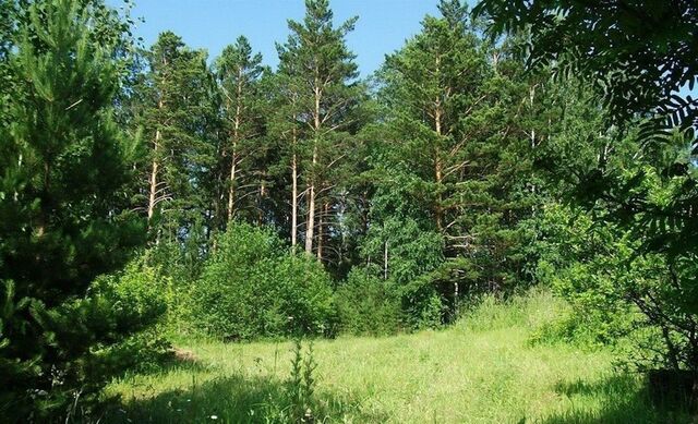 р-н Центральный ул Революции фото