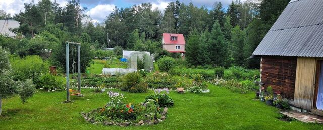 г Ревда садово-огородническое товарищество Рябинка фото