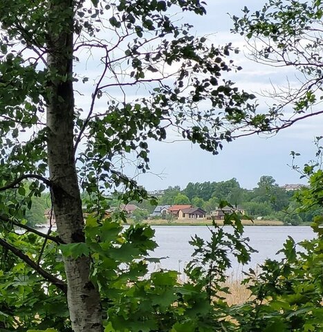 пер Светогорский Трасса Скандинавия, 95 км, Выборгское городское поселение фото