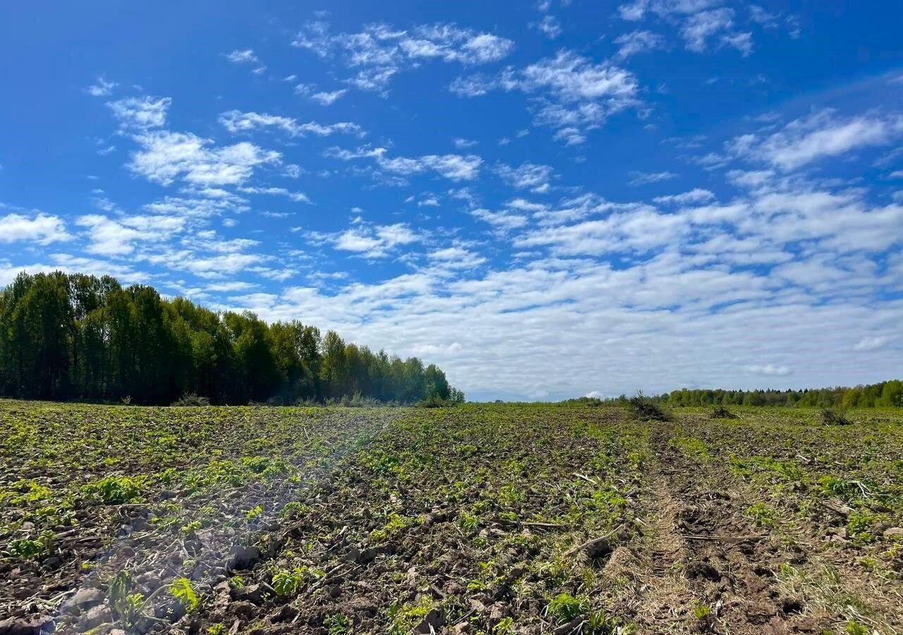 земля городской округ Дмитровский коттеджный поселок «Сорочаны» 9786 км, г. о. Клин, Клин, Рогачёвское шоссе фото 19