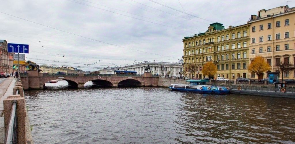 квартира г Санкт-Петербург р-н Центральный ул Марата 31 Владимирский округ фото 17