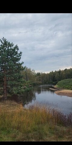 земля д Взвоз Екшурское сельское поселение, Спас-Клепики фото