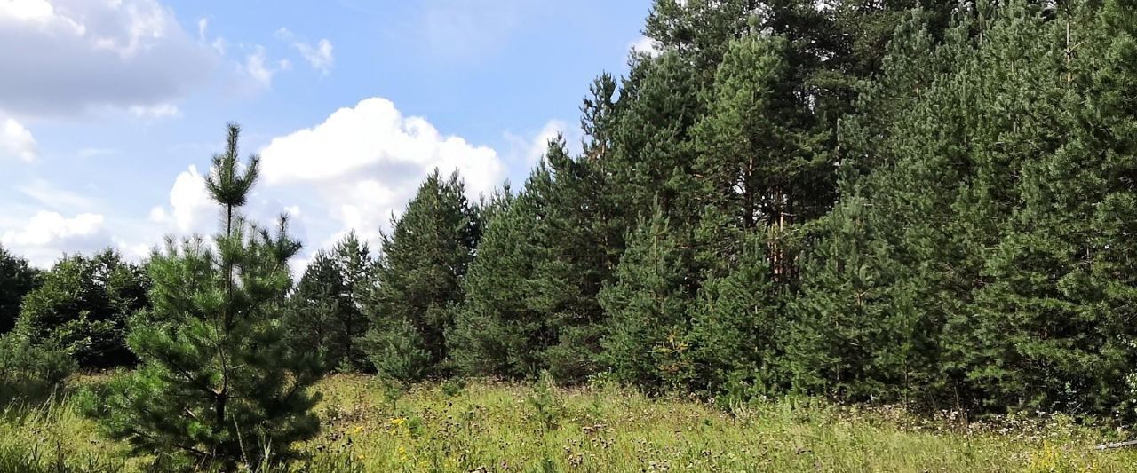 офис городской округ Орехово-Зуевский д Слободище ул Советская фото 3