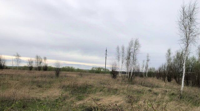 офис городской округ Зарайск фото