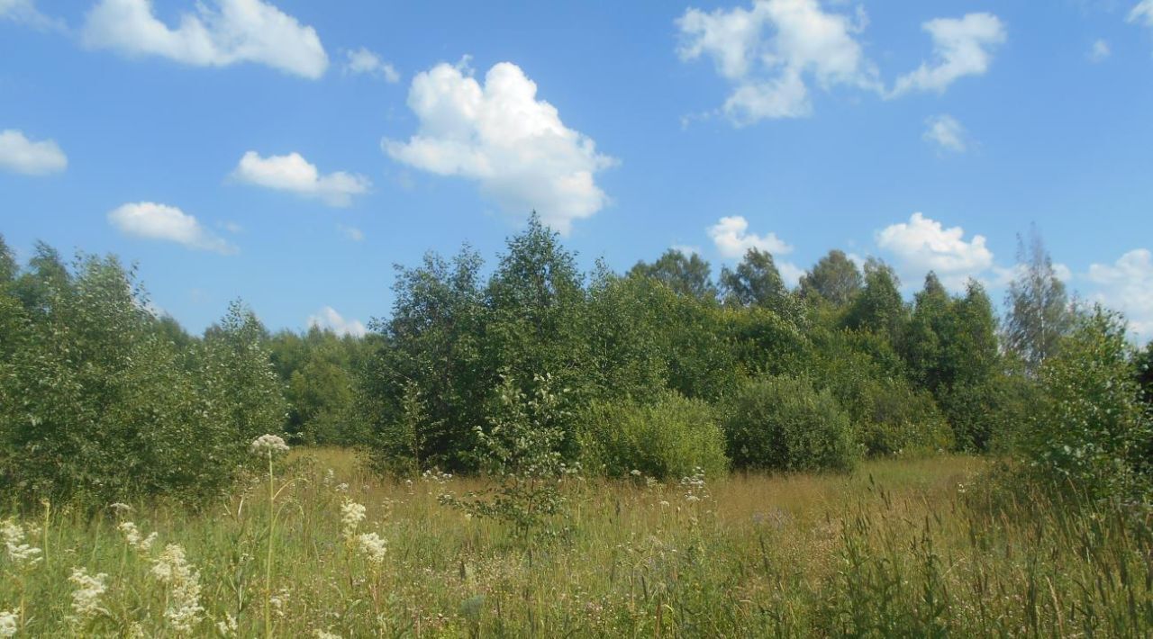 офис городской округ Шаховская д Щемелинки ул Лесная фото 1