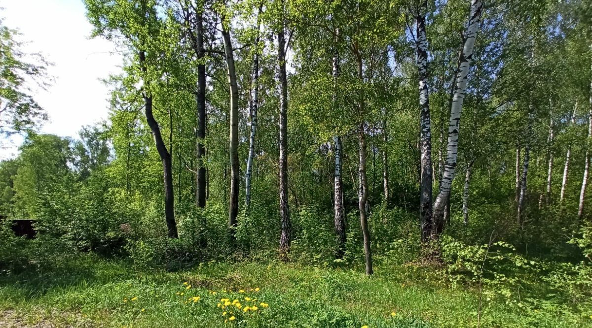 офис городской округ Ступино д Матвейково фото 1