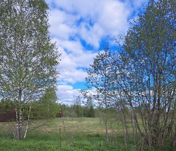 городской округ Можайский д Красноиншино фото