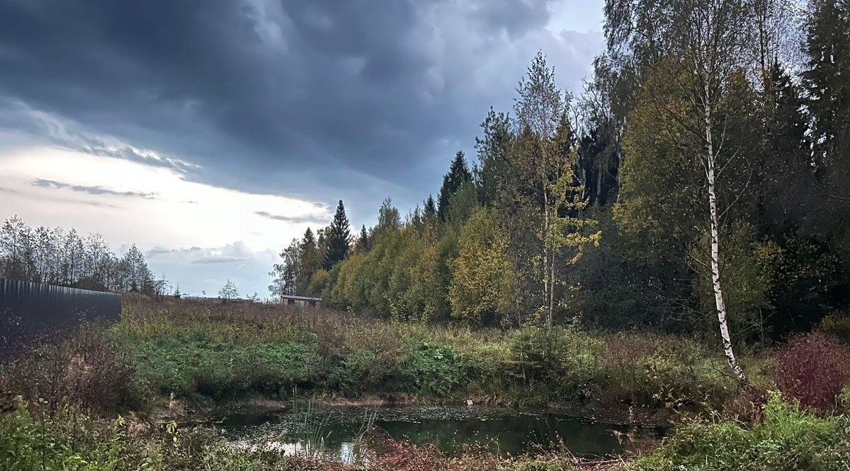 земля городской округ Дмитровский Никулино СНТ, ул. Прудовая фото 6