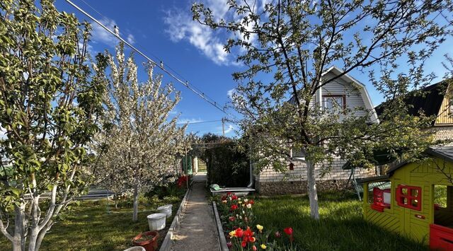 снт Металлург фото