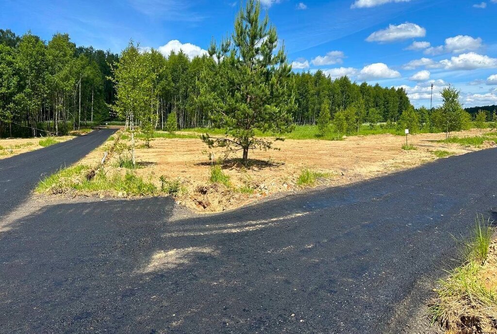 земля городской округ Истра д Сафонтьево днп терСафонтьевские дачи фото 13