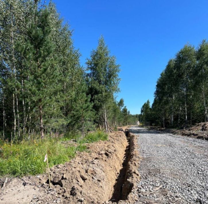 земля городской округ Павловский Посад Новые Ромашки дп фото 4