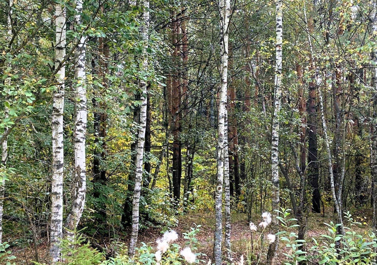 земля городской округ Раменский д Дергаево 9752 км, Раменское, Егорьевское шоссе фото 4